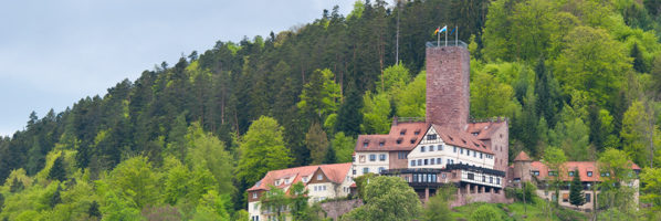 Burg Bad Liebenzell und gleichzeitiger Sitz desInternationalen Forums
