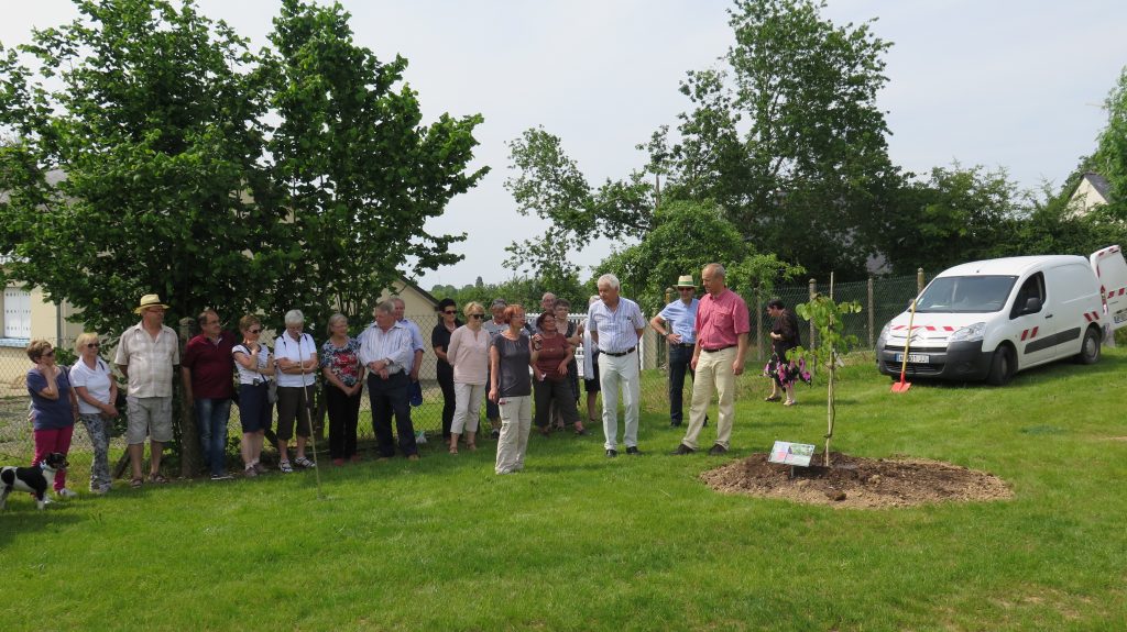 Jubiläumsfeier 25 Jahre Partnerschaft in Villaines la Juhel
Gruppenbild nach Baumbepflanzen
